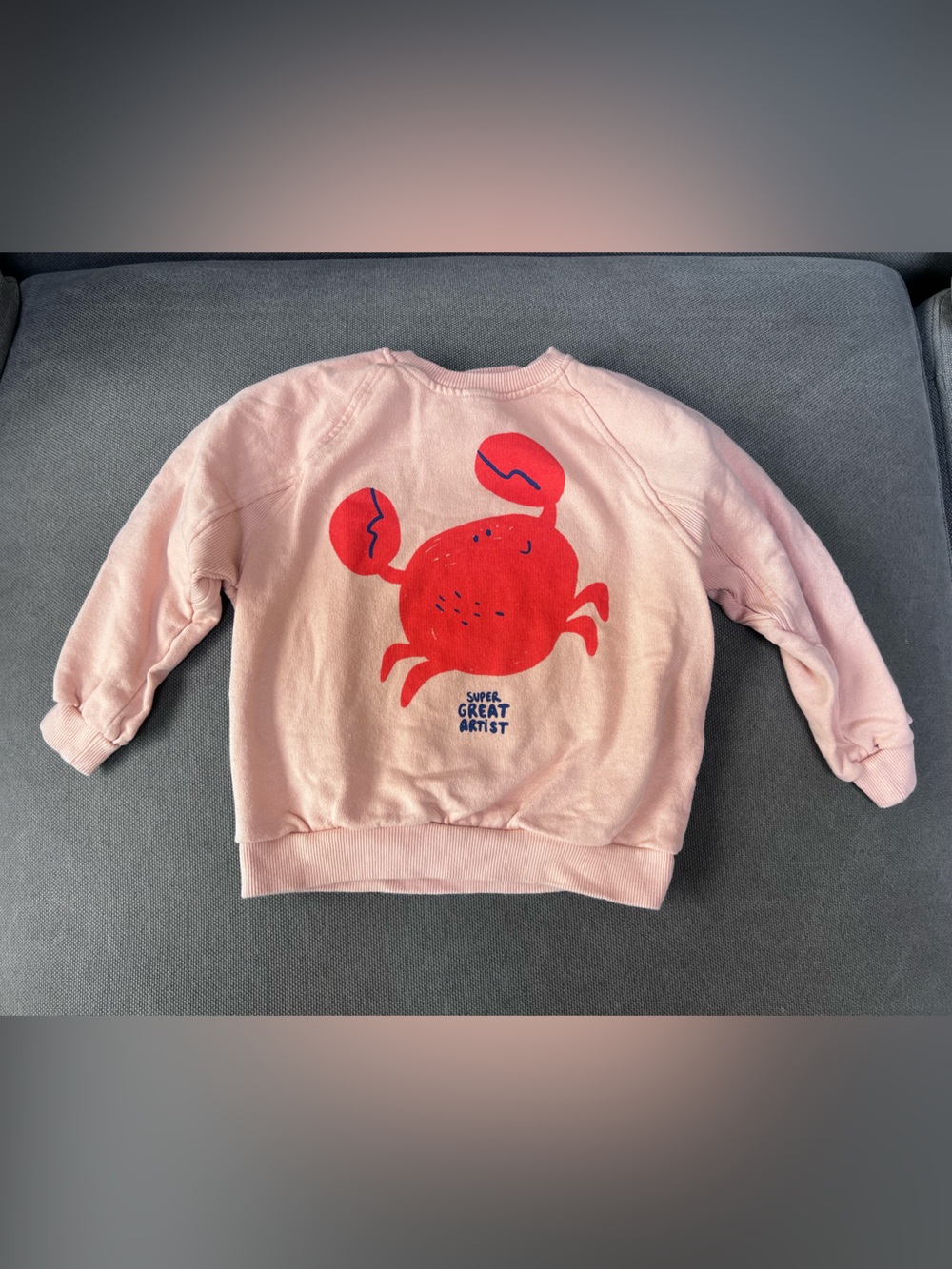 Zara Crab Sweatshirt